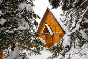 新瓦罗什ZlatAir Eco Chalet的雪中木屋,有雪覆盖的树木