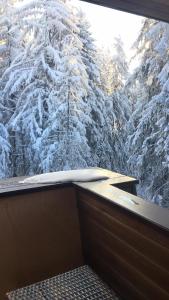 波罗维茨Borovets Chalets的从窗户可欣赏到雪覆盖的树的景色
