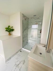 基督城Home sweet home Christchurch Centre的白色的浴室设有水槽和淋浴。