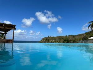 克布拉迪亚斯Hotel El Guajataca的一座背景海洋的游泳池