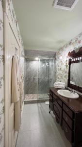 尼亚加拉瀑布白寒木住宿加早餐酒店的带淋浴、盥洗盆和镜子的浴室