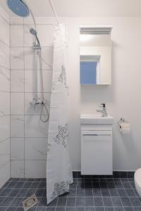 拉克韦雷Posti Guesthouse的浴室配有淋浴帘和盥洗盆。