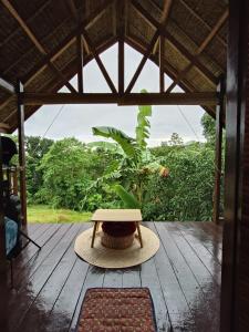 BariliSMALL CABIN IN THE SOUTH的木甲板上挂着一顶帽子,上面有植物