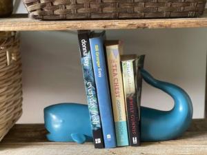 波因特卢考特Treetops on Tramican - Ocean View - sleeps 10的书架,书架,蓝色的杯子