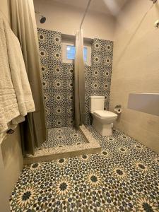 GulmitSilk Route Lodge的带淋浴和卫生间的浴室。
