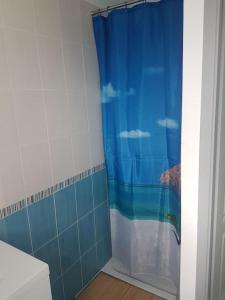拉康提内勒Maison au calme 2 à 300 m de la plage 2 chambres的一间带蓝色淋浴帘的淋浴的浴室