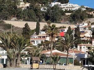 阿尔姆尼卡Casa baja cerca del mar的棕榈树山上的一群房子