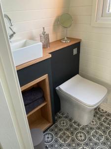 RhuddlanAbbey farm luxury glamping的一间带水槽、卫生间和镜子的浴室