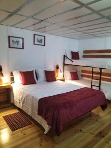英雄港Alojamento Raminho dos Açores的一间卧室配有一张床和两张双层床。