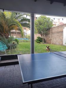 康考迪亚El Bicho Negro Hostel的院子里的乒乓球桌和狗一起玩