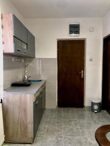 Crni VrhGolubović Apartman的一间厨房,房间里有一扇棕色的门