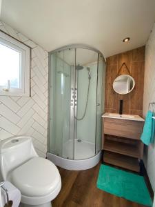 延基韦Linda y cómoda casa individual的带淋浴、卫生间和盥洗盆的浴室