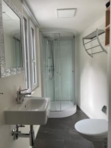 古尔特纳伦Hotel Sternen的白色的浴室设有水槽和淋浴。