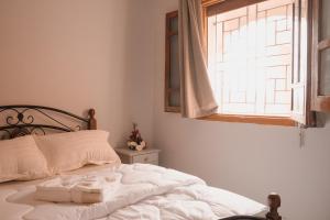 塔姆拉赫特乌兹达尔Santacruz Hostel的卧室配有白色的床和窗户