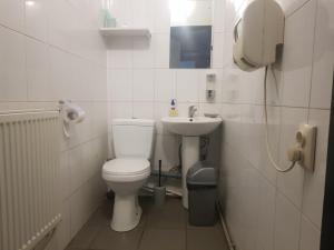 乌日霍罗德Мандри Хостел的白色的浴室设有卫生间和水槽。
