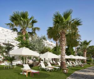 博德鲁姆Prive Hotel Bodrum - Adult Only的一组椅子和遮阳伞以及棕榈树