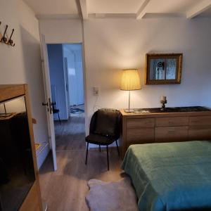 沃尔夫斯堡Exklusive Ferienwohnung Hattorfer Teiche的一间卧室配有一张床和一张带台灯的书桌