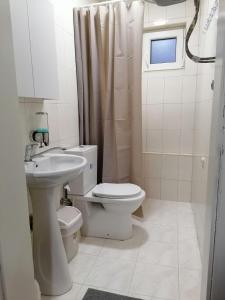 奥赫里德Villa Apartments B&D的浴室配有卫生间、盥洗盆和淋浴。