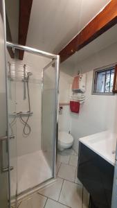 阿克斯莱泰尔姆Chalet en Castel的带淋浴、盥洗盆和卫生间的浴室