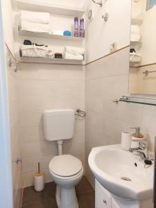 木洛希尼Apartment46的一间带卫生间和水槽的小浴室