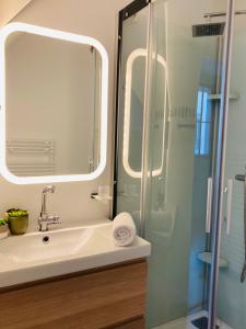 迪耶普Les Déboussolés的浴室配有盥洗盆和带镜子的淋浴