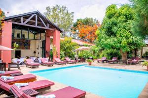 Brufut冈比亚西比斯科斯旅馆的一个带躺椅的酒店游泳池