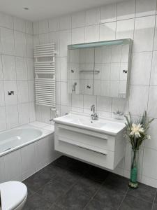 斯特拉德SEASIDE Appartement的一间带水槽、卫生间和镜子的浴室