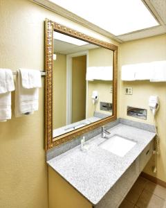 哥伦比亚Rodeway Inn Harbison Area的一间带水槽和镜子的浴室