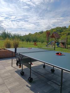斯雷姆斯基卡尔洛夫奇Fruska的庭院设有乒乓球桌和游乐场