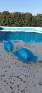 胡宁Hermosa Casa Quinta en Junin的游泳池旁的蓝色太阳镜