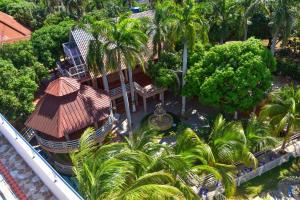 巴耶杜帕尔Hotel Campestre Villa Ocha的享有棕榈树花园和大楼的顶部景致