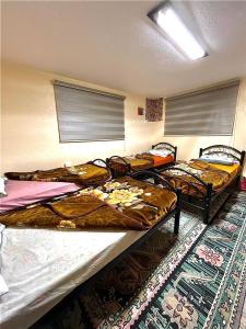 瓦迪穆萨Petra Heritage House的带3张双层床的宿舍间设有地毯。