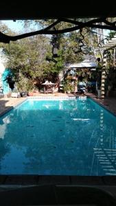 隆德里纳Alpha Hospedaria & Hostel的院子里的大型蓝色游泳池