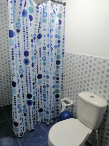 卡利CASA HOTEL QR的一间带卫生间和淋浴帘的浴室
