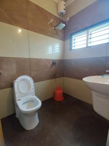瓦加蒙Green Palace Resort的一间带卫生间和水槽的浴室