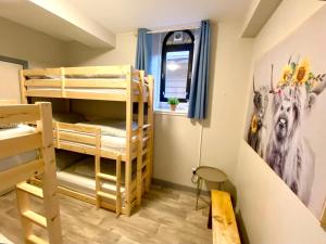 Inversnaid因弗斯内德旅舍的双层床间 - 带两张双层床和一扇窗户