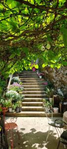 萨兰莱班L'Aristoloche的一套带植物和桌椅的楼梯