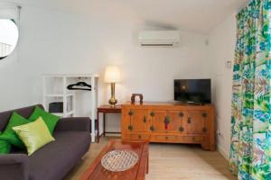 加亚新城Urban Cabin的带沙发和电视的客厅