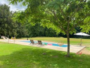 贝尔热拉克la Chartreuse du Domaine de la Graulet的院子里的一个带椅子和树的游泳池