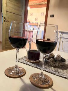 伊利尔斯卡比斯特里察ADORI的桌子上放两杯红葡萄酒