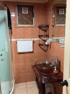 蒙特港El Viloche - Casa de campo con tinaja的一间带水槽和淋浴的浴室