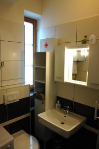 查科韦茨Mini Studio的一间带水槽、卫生间和镜子的浴室