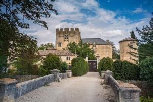 普罗旺斯地区阿莱马尼Bastide la Fondue的前面有一条路的大城堡