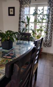 乌斯怀亚Rocio的用餐室配有桌椅和植物