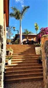 莫甘VILLA DE LUXE 5***** golf - piscine chauffée - home cinéma - billard的种植了盆栽植物和棕榈树的楼梯