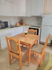 都拉斯Apartament 1+1 Plazh Durrës的厨房配有木桌、两把椅子和一台冰箱