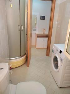 都拉斯Apartament 1+1 Plazh Durrës的一间带卫生间和洗衣机的浴室