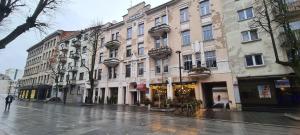 考纳斯Stay in Kaunas & LA51 - Free Parking的雨天有楼房的城市街道