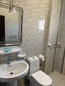 延布الشقق الذكية的一间带水槽、卫生间和镜子的浴室