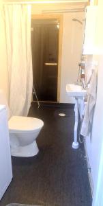 萨拉Sala Cabin的一间带卫生间和水槽的浴室